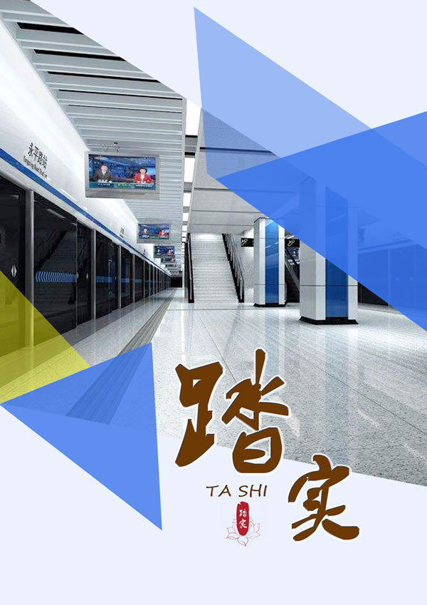 踏实预制水磨砖2020产品画册